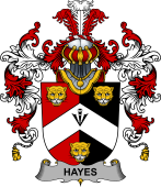Irish Family Coat of Arms (v.25b) Hayes