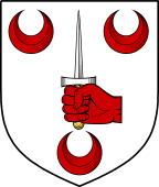 Irish Family Shield for O
