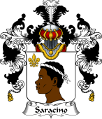 Italian Family Coat of Arms (v.25b) Saracino