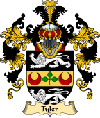 Irish Family Coat of Arms (v.25a) Tyler