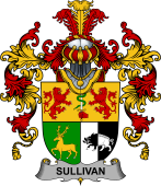 Irish Family Coat of Arms (v.25b) Sullivan or O