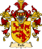 Irish Family Coat of Arms (v.25a) Field