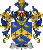 Irish Family Coat of Arms (v.25b) Tomkins