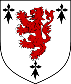 Irish Family Shield for O