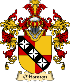 Irish Family Coat of Arms (v.25a) O