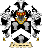 Irish Family Coat of Arms (v.25a) O