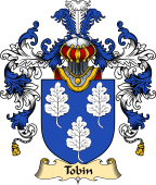 Irish Family Coat of Arms (v.25a) Tobin