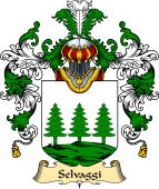 Italian Family Coat of Arms (v.25a) Selvaggi