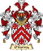 Irish Family Coat of Arms (v.25a) O