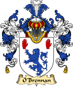 Irish Family Coat of Arms (v.25a) O
