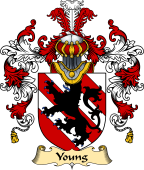 Irish Family Coat of Arms (v.25a) Young