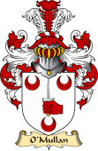 Irish Family Coat of Arms (v.23) for O