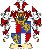 Irish Family Coat of Arms (v.25a) Rice