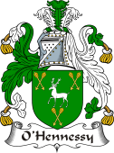 Irish Coat of Arms for O