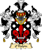 Irish Family Coat of Arms (v.25a) O