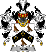 Irish Family Coat of Arms (v.25b) Tallis