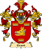 Irish Family Coat of Arms (v.25a) Grant
