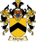 Irish Family Coat of Arms (v.25a) Mervyn