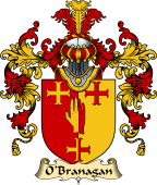 Irish Family Coat of Arms (v.25a) O