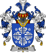 Irish Family Coat of Arms (v.25b) Atkins