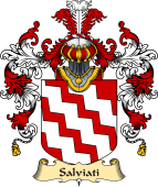 Italian Family Coat of Arms (v.25a) Salviati