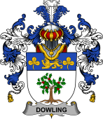 Irish Family Coat of Arms (v.25b) Dowling or O