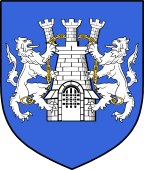 Irish Family Shield for O