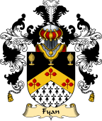 Irish Family Coat of Arms (v.25a) Fyan