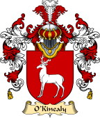 Irish Family Coat of Arms (v.25a) O