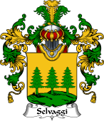 Italian Family Coat of Arms (v.25b) Selvaggi