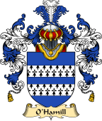 Irish Family Coat of Arms (v.25a) O
