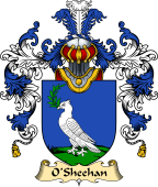 Irish Family Coat of Arms (v.25a) O
