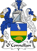 Irish Coat of Arms for O