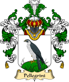 Italian Family Coat of Arms (v.25a) Pellegrini