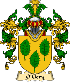 Irish Family Coat of Arms (v.25a) O