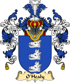 Irish Family Coat of Arms (v.25a) O
