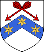 Irish Family Shield for O