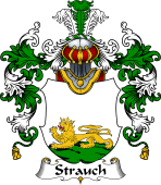 German Wappen Coat of Arms (v.25) Strauch