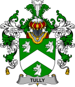 Irish Family Coat of Arms (v.25b) Tuly or McAtilla