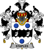 Irish Family Coat of Arms (v.25b) Staples