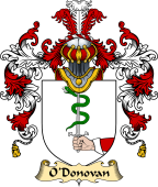 Irish Family Coat of Arms (v.25a) O