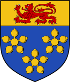 English Family Shield for Davy