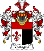 Italian Family Coat of Arms (v.25b) Castagna