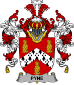 Irish Family Coat of Arms (v.25b) Pyne