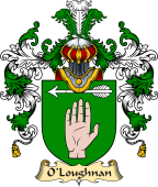Irish Family Coat of Arms (v.25a) O