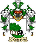 Irish Family Coat of Arms (v.25a) O