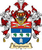 German Coat of Arms (v.25b) Bergmann