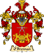 Irish Family Coat of Arms (v.25a) O