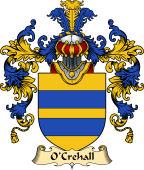 Irish Family Coat of Arms (v.25a) O