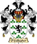 Irish Family Coat of Arms (v.25a) O